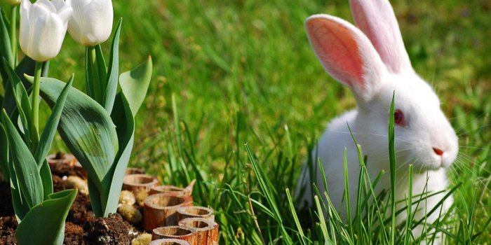 1920x1080 35+ 10 Most Downloaded Wallpapers - Download at WallpaperBro