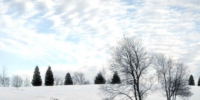 1024x768 Best 58+ Top 10 Most Downloaded Wallpapers on HipWallpaper | Most