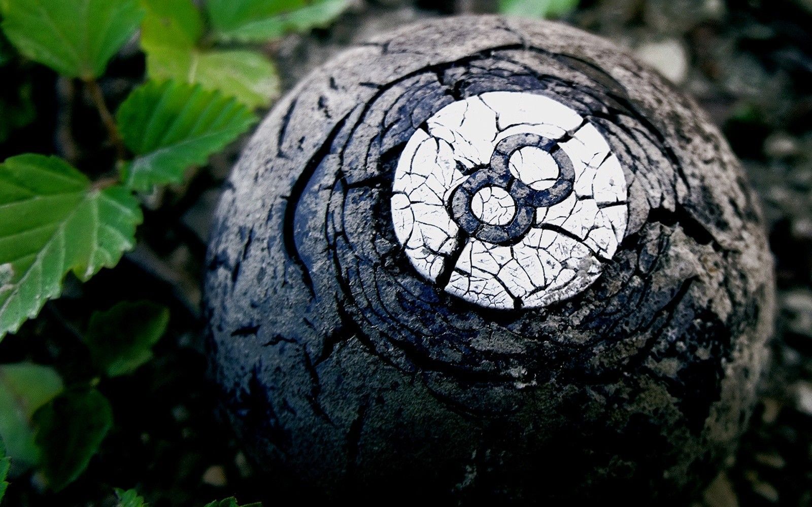 1600x1000 Old billiard ball in the woods wallpapers and images - wallpapers