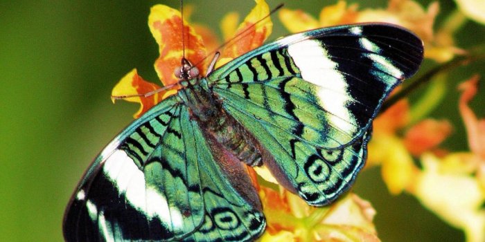 1280x1024 Popular Wallpapers of 2010 - Splendid Wallpaper HD