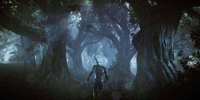 1920x1080 Witcher 3 Wallpaper (70 Wallpapers) – Adorable Wallpapers