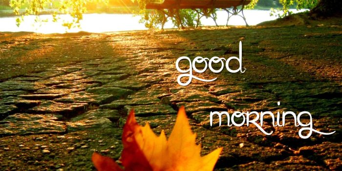 1440x1280 Download Good morning(7) - Good morning wallpapers-Mobile Version