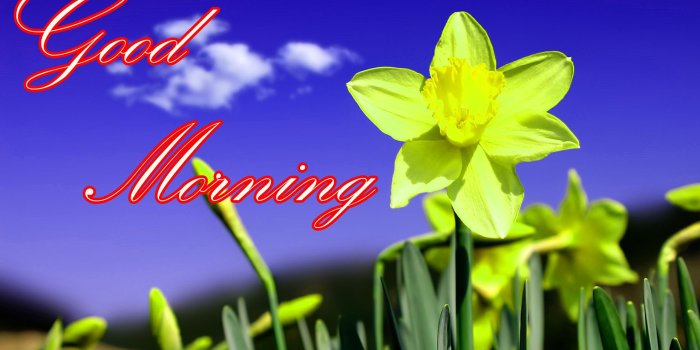 1857x1097 Latest Good Morning Images Wallpaper Photo Pics HD Download For