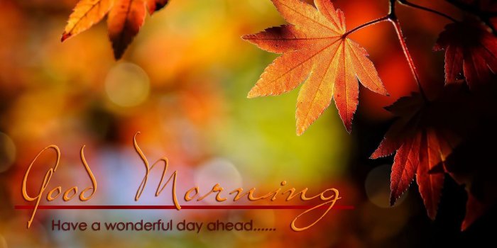 1440x852 Good Morning Wishes Wallpapers