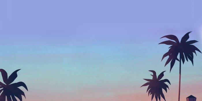 1152x2048 Winner Wallpapers - Wallperio.com