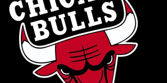 1080x1920 Chicago Bulls Logo Wallpaper (69+ images)