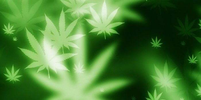 1000x1600 Bokeh Marijuana Android Wallpaper free download