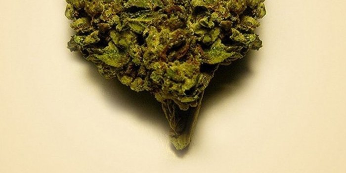 1080x1920 Weed HD Mobile Wallpapers