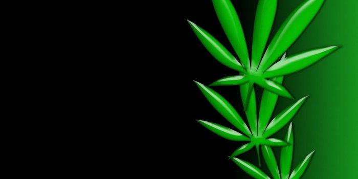 1600x1200 Weed Leaf Wallpapers (56+)