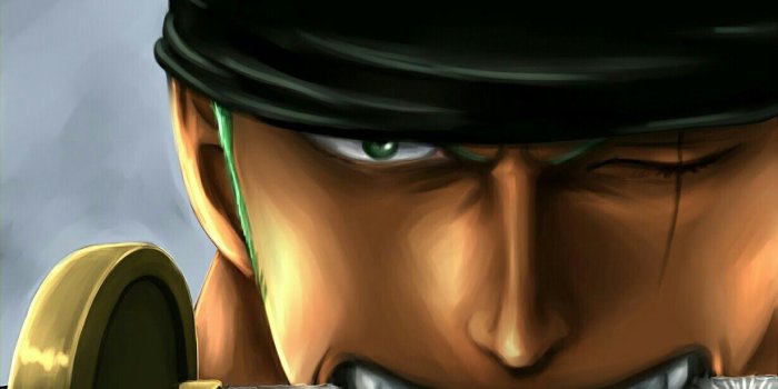 1230x809 Download Roronoa Zoro Wallpaper Hd (56) - mariacenoura.pt