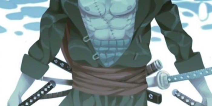 750x1334 One Piece Zoro Wallpaper (30+) - HD Nice Wallpapers