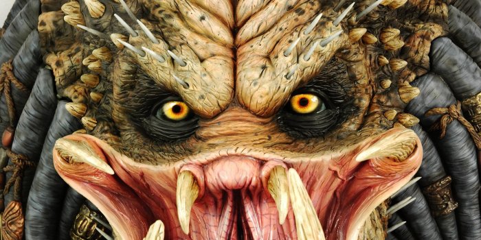 1920x1200 Predator wallpaper - Movie wallpapers - #17311