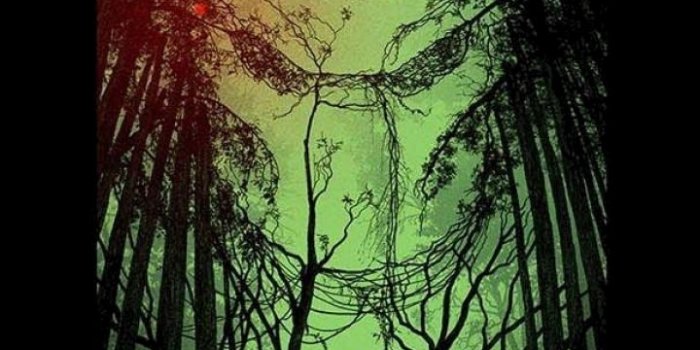 720x1280 Movie/Predator (720x1280) Wallpaper ID: 363259