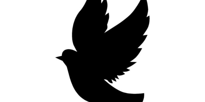 1037x1015 Single Flying Bird Silhouette Dove | Wallpapers Gallery | DIY