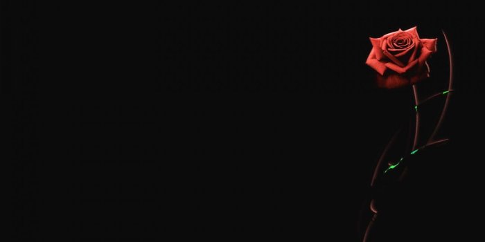 1300x780 Download Black Wallpaper Minimalist High Quality HD Wallpaper in 2K