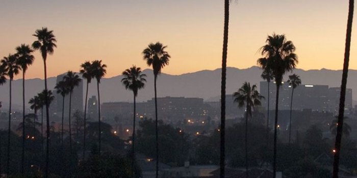 750x1334 Los Angeles Palm Trees iPhone | Wallpaper | Los angeles wallpaper