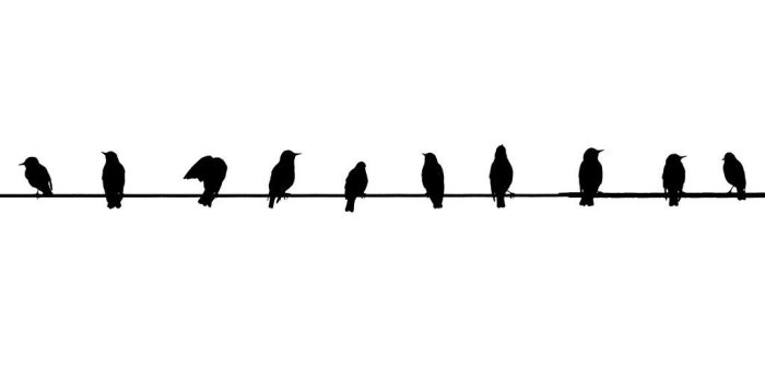 1024x768 60+ Hipster Birds Wallpapers - Download at WallpaperBro