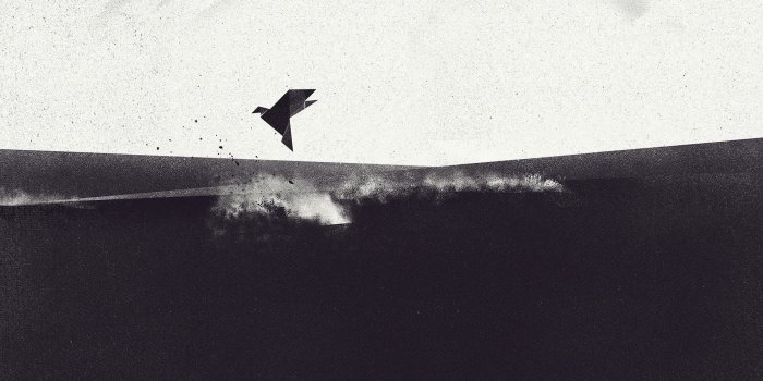 1920x1200 Silhouette of black bird HD wallpaper | Wallpaper Flare
