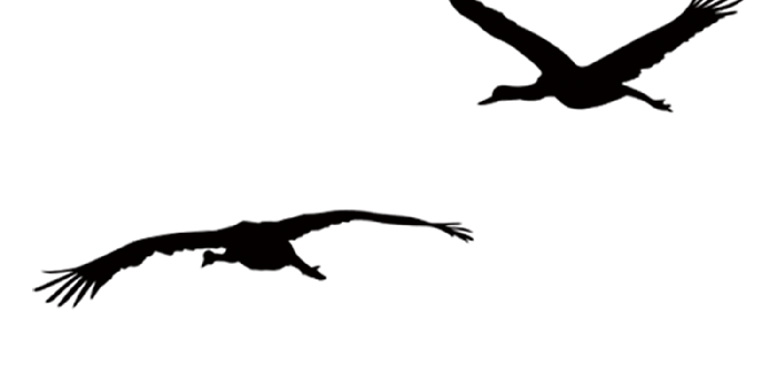 1500x1500 Silhouette Wallpaper - Crane Stock Photos png download - 1500*1500