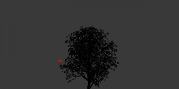 1920x1200 Bird Silhouette Wallpapers