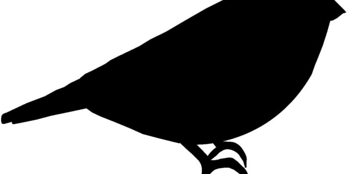 1470x1029 HD Bird Silhouette Wallpapers | Download Free - 456638