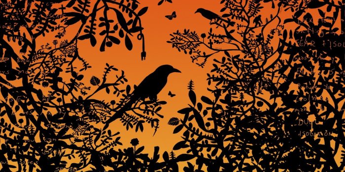 1680x1050 HD wallpaper: birds, orange, black, artwork, plants, silhouette