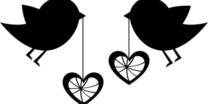 1140x1092 Bird Clipart Wallpaper
