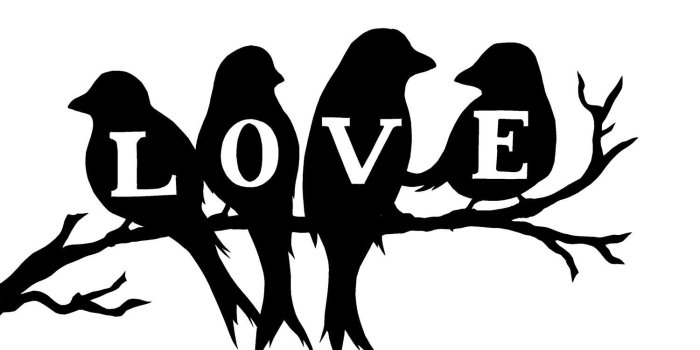 1500x1087 Free Bird Silhouette, Download Free Clip Art, Free Clip Art on