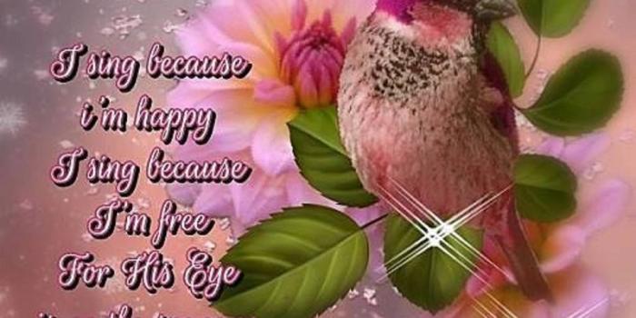 960x960 Good Morning Blessings With Bible Verse Pictures, Photos, and Images