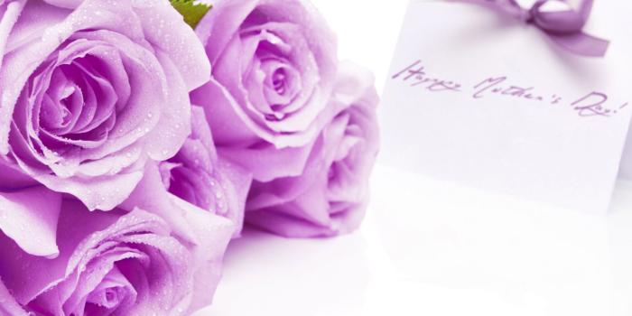 1920x1200 happy mothers day card bow violet purple roses flowers holiday hd