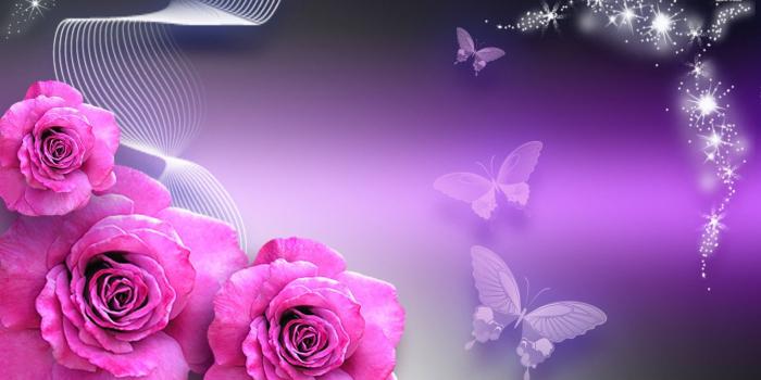 1920x1080 Butterflies Rosebuds Butterflies And Pink Roses Digital - Purple