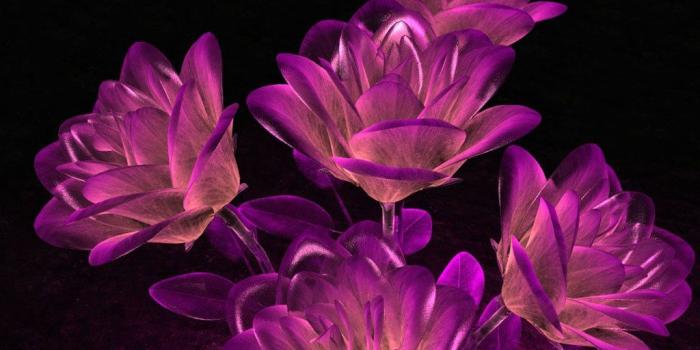 1024x768 Desktop Wallpapers » 3D Backgrounds » Roses Violet » www