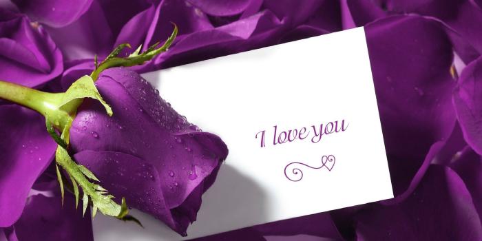 1920x1080 Flowers Purple Quote Image Wallpaper | WallpaperLepi