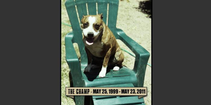 1920x1080 Showcase :: POSTAL 2