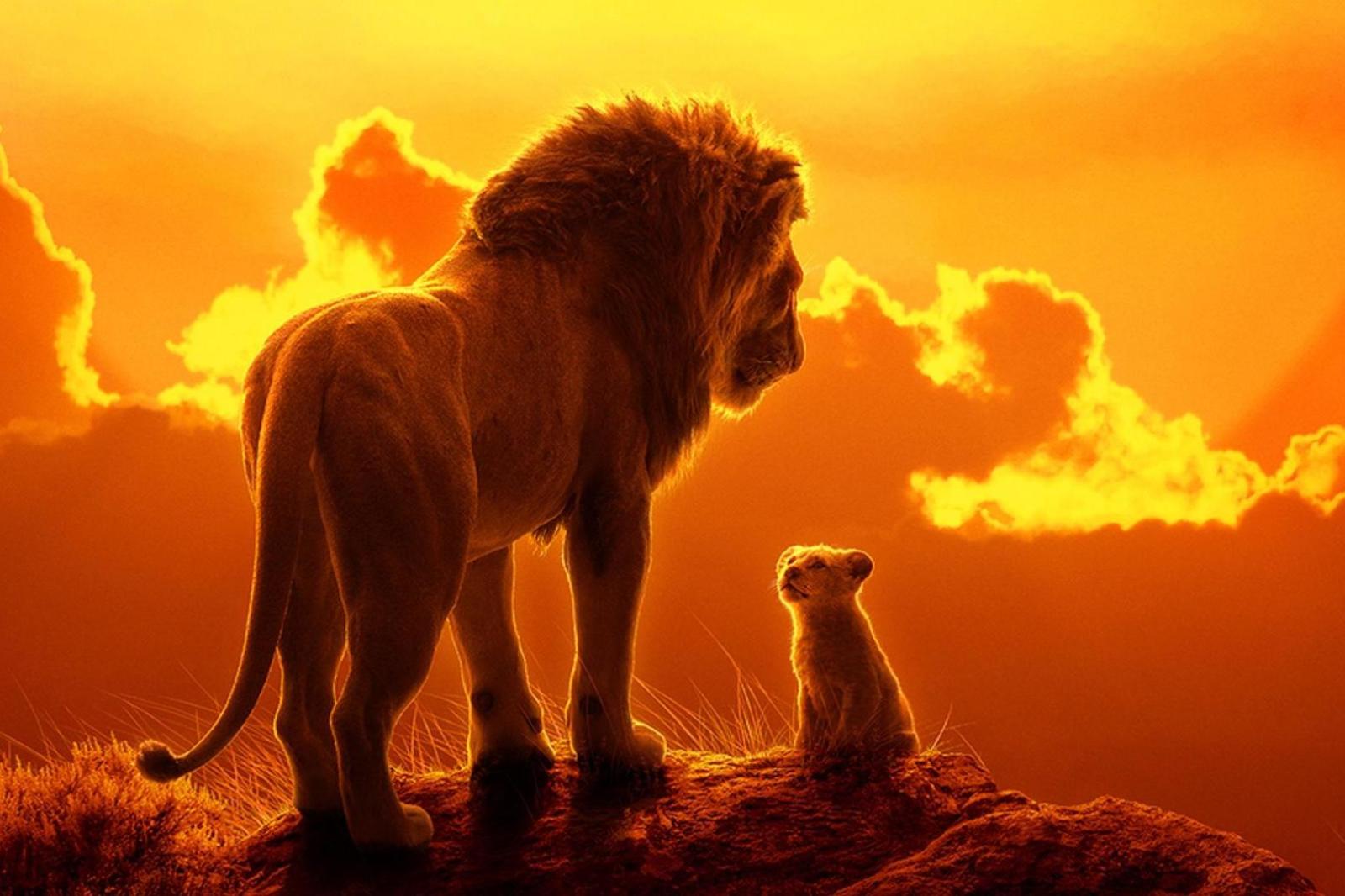 1620x1080 Why The Lion King is so wrong about the African savannah | The
