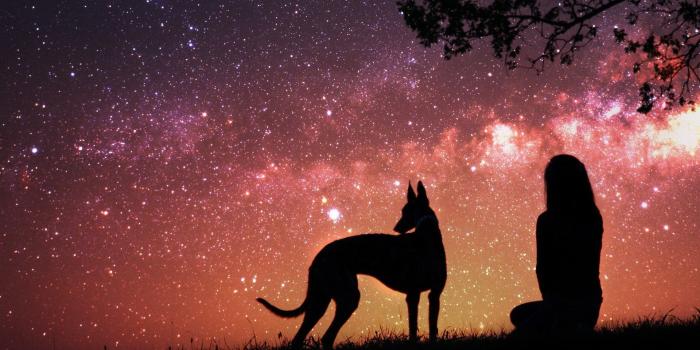 1920x1080 Out of this world [1920x1080] : wallpapers