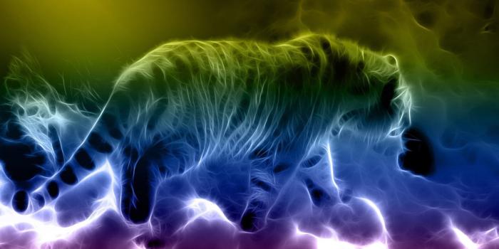 1920x1080 48+] Neon Tiger Wallpaper on WallpaperSafari