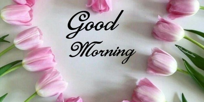 1027x1079 Good Morning Greetings | Quotes | Good morning greetings, Good