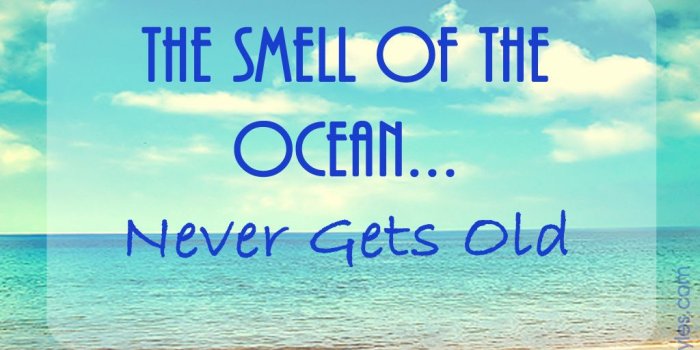 1024x768 Ocean Styles Free Goodies | OceanStyles.com