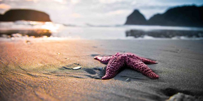 2560x1440 The 13 Best Free Beach Background Wallpapers of 2019