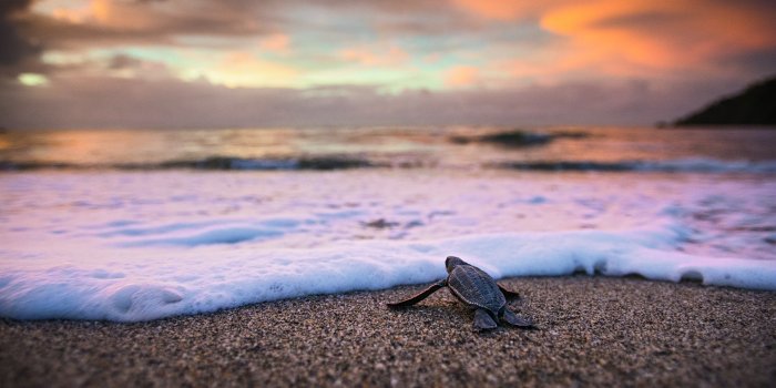 2188x1563 9 Inspiring Quotes for Nature Photographers • The National Wildlife