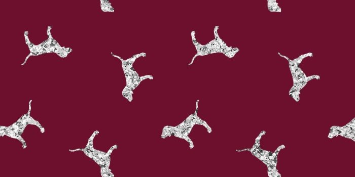 1080x1920 Victoria's Secret pink wallpaper background cute dog iphone | Phone