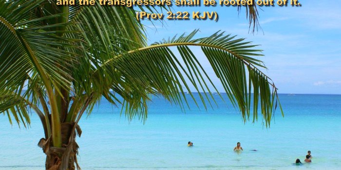 1600x1000 Inspirational WALLPAPERS – BIBLE VERSES- beach wallpapers | Hot