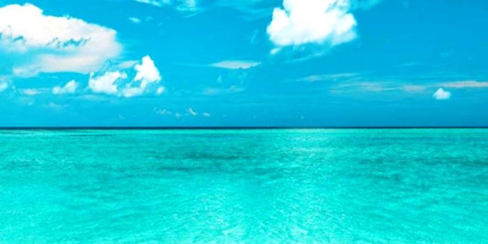 910x930 Beach Themed Backgrounds | Nababan Wallpapers