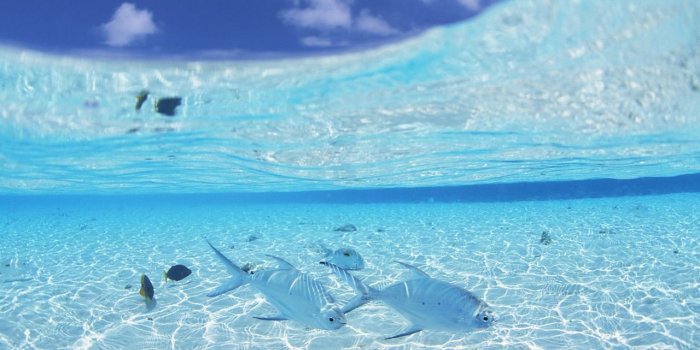 1280x800 73+] Beach Themed Backgrounds on WallpaperSafari