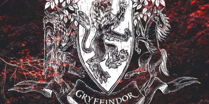 719x1280 Harry Potter iPhone Wallpapers | Harry Potter Amino