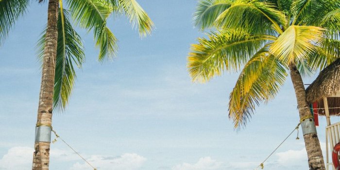 1000x1500 20+ Best Free Beach Pictures on Unsplash