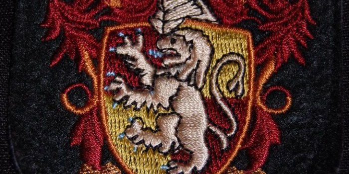 729x1097 Gryffindor Wallpaper Iphone ✓ The Galleries of HD Wallpaper