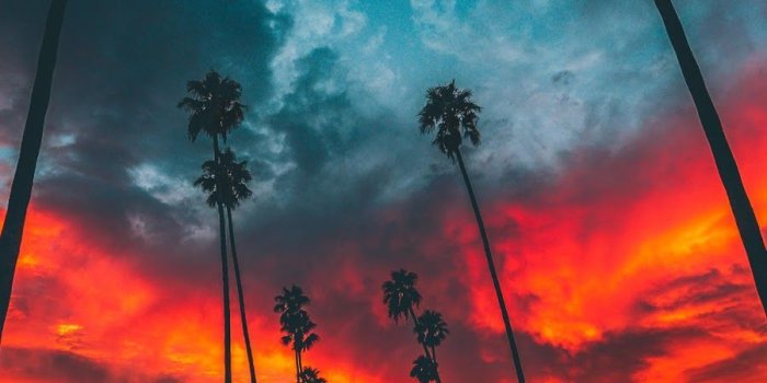 900x1600 The Golden Hour Wallpapers