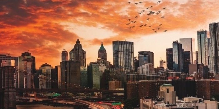 900x1600 The Golden Hour Wallpapers